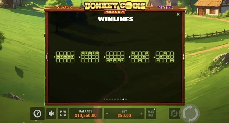 Donkey Coins Hold & Win - stor gevinst i specialtilstand